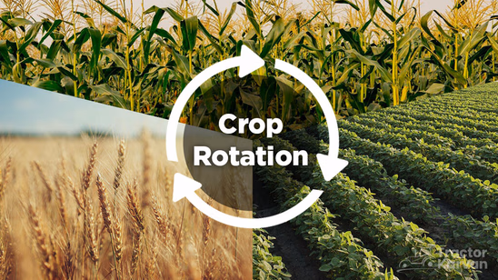 Crop Rotation Method for Sustainable Agriculture in India