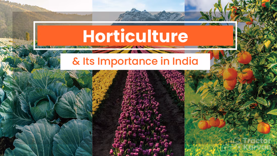 Understand the Meaning of Horticulture, Types and its Advantages Understand the Meaning of Horticulture, Types and its Advantages