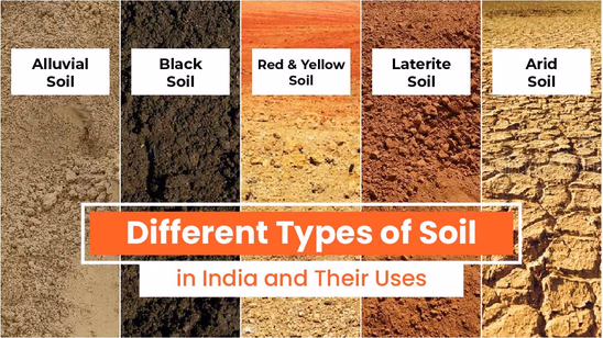 Different Types of Soil in India and their Characteristics