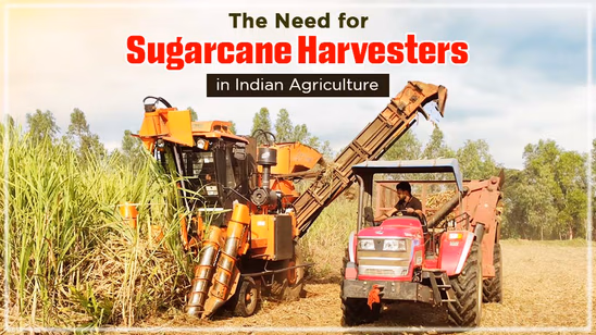 The Need for Sugarcane Harvesters in Indian Agriculture