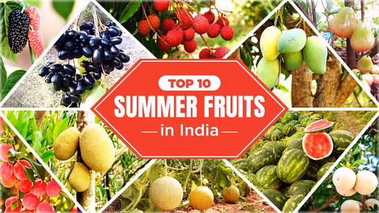 Top 10 Refreshing Summer Fruits in India