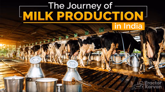 The Journey of Milk Production in India
