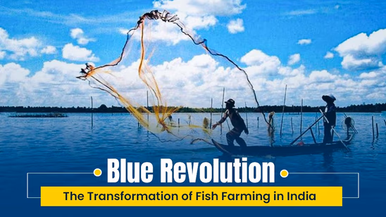 Blue Revolution: The Transformation of Fish Farming in India