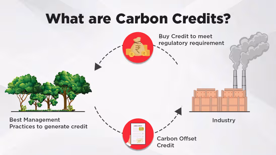 What are Carbon Credits: Key Schemes, Benefits for Farmers, Challenges