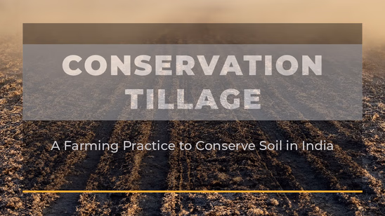Conservation Tillage: A Farming Practice to Conserve Soil in India