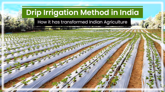 Drip Irrigation Method: Transforming Indian Agriculture Drop by Drop