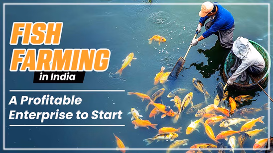 Fish Farming in India: A Profitable Enterprise to Start
