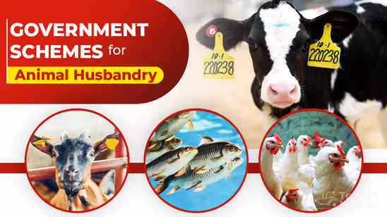 Government Schemes to Promote Animal Husbandry in India