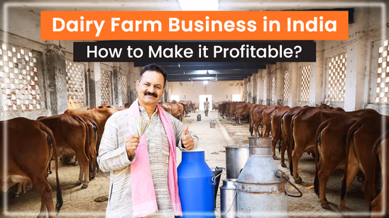 How to Start a Dairy Farm Business in India: A Beginners Guide