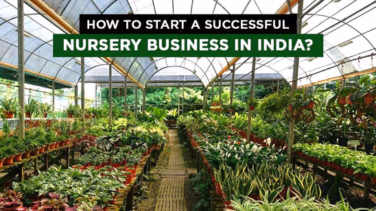 How to Start a Successful Nursery Business in India?