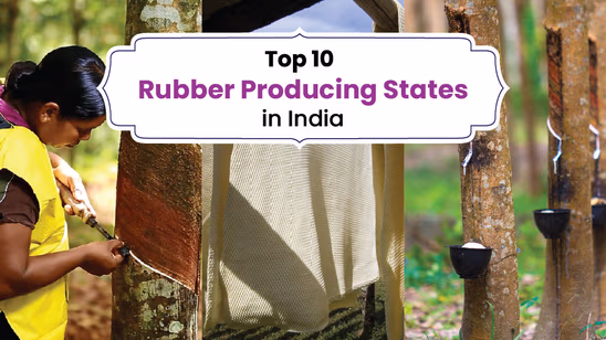 List of Top 10 Rubber Producing States in India in 2025