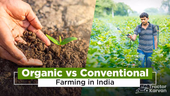Organic vs Conventional Farming in India: Key Differences, Benefits, and Challenges