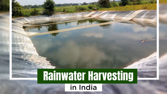 Rainwater Harvesting: Recharging Groundwater for a Sustainable Future