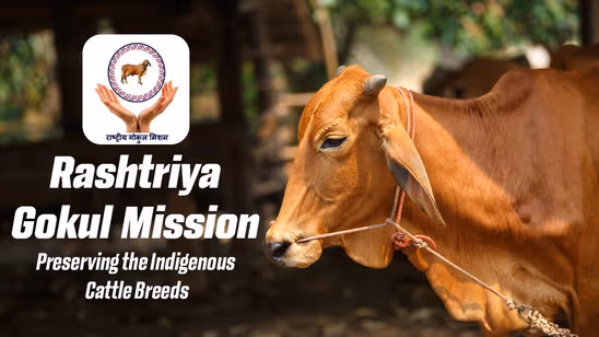 Rashtriya Gokul Mission - Preserving the Indigenous Cattle Breeds