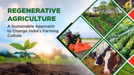 Regenerative Agriculture: A Sustainable Approach to Change India's Farming Culture