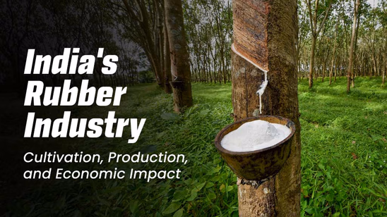 India's Rubber Industry: Cultivation, Production, and Economic Impact