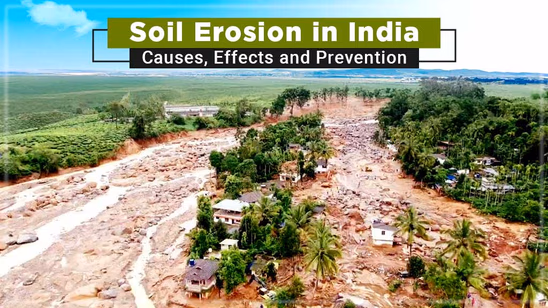 Soil Erosion in India: Causes, Effects and Prevention