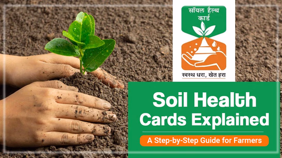 Soil Health Cards Explained: A Step-by-Step Guide for Farmers