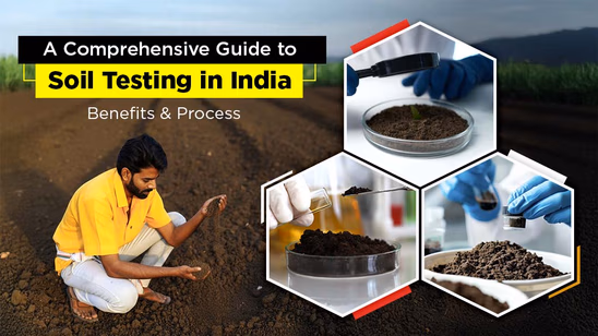 A Comprehensive Guide on Soil Testing in India: Benefits & Process