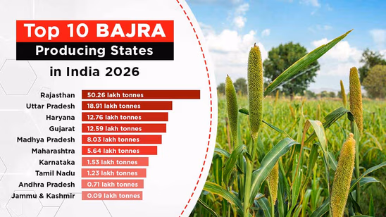 Top 10 Bajra Producing States in India 2026