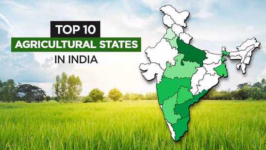 Top 10 Agricultural States in India: Production-wise List