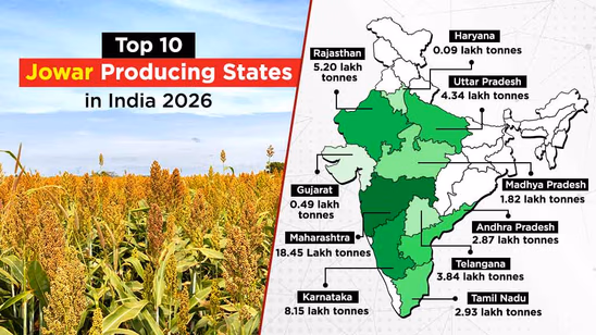Top 10 Jowar Producing States in India 2026