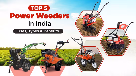 Top 5 Power Weeders in India: Uses, Types & Benefits