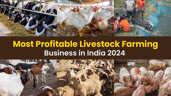 Most Profitable Livestock Farming Business in India 2025