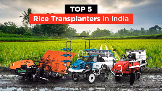 Top 5 Rice Transplanters in India: Perfect Machines for Rice Cultivation
