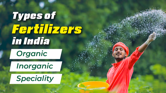 Types of Fertilisers Used in Agriculture in India and their Importance