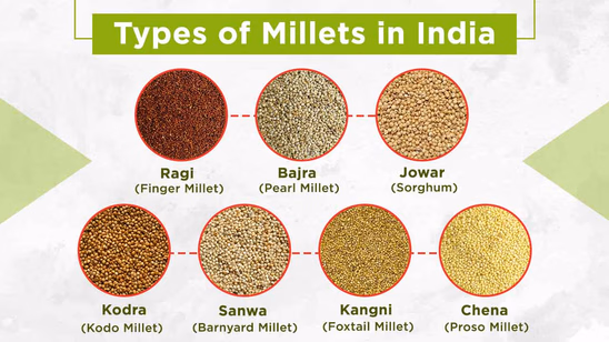 Types of Millets in India – Status, Importance & Top Millet-Producing States