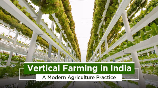 Growing Crops through Vertical Farming: A Modern Agriculture Practice