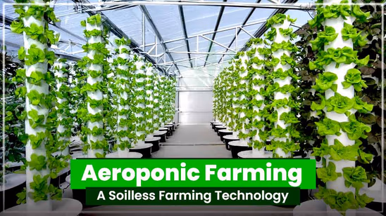 Aeroponic Farming: A Soilless Farming Technology