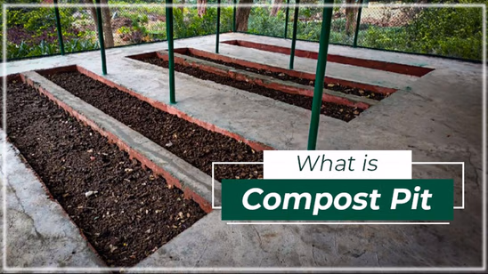 What is Compost Pit: Meaning, Process, and Benefits