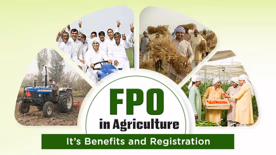 FPO in Agriculture: It’s Benefits and Registration