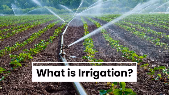 What is Irrigation: Meaning, Techniques and Benefits