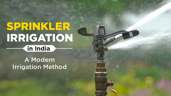 Sprinkler Irrigation in India: A Modern Irrigation Method