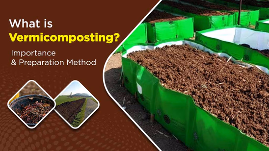 What is Vermicomposting:  Importance & Preparation Method