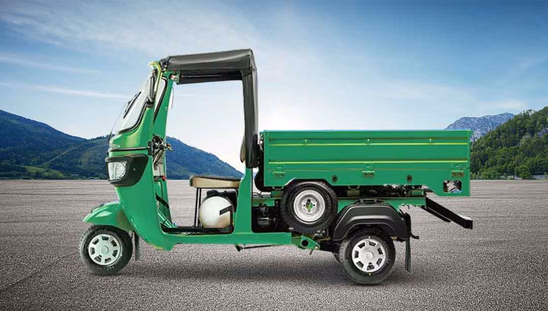 Tvs King Kargo ZK FI-4S CNG - Ecco Green Left