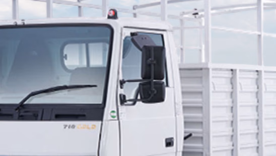 Tata LPT 710 Gold - Mirror