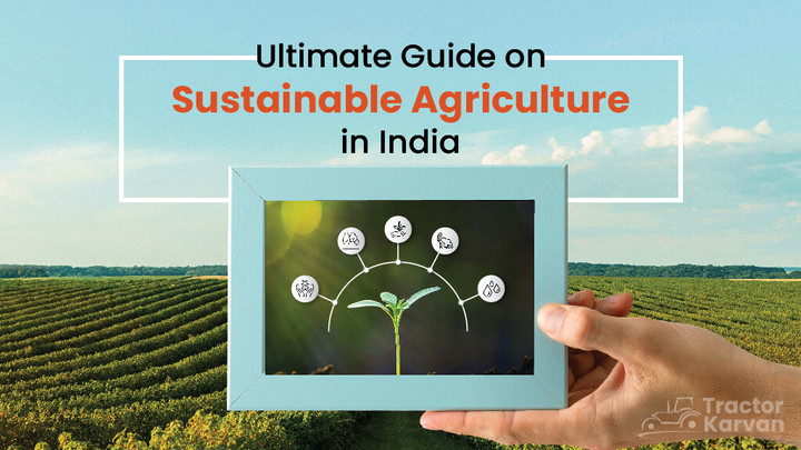 An Ultimate Guide to Sustainable Agriculture in India Article