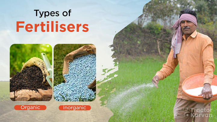 Types of Fertilisers Used in Agriculture in India and their Importance Article