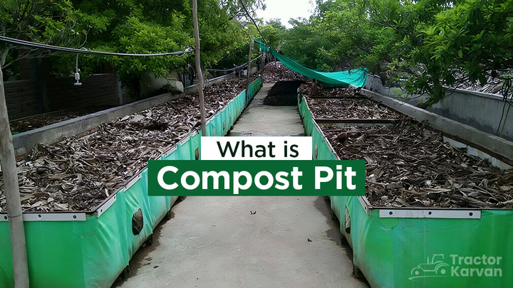 What is Compost Pit: Meaning, Process, and Benefits Article