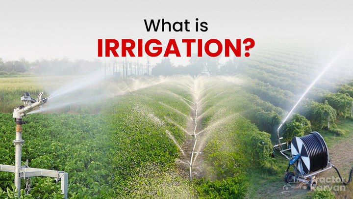 What is Irrigation? Its Types, Methods, and Importance in India Article